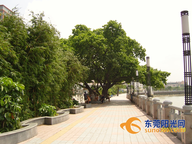 1600224192647042.jpg 2.jpg