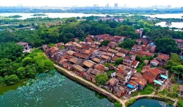 珠三角最美乡村长啥样?从松山湖出发半小时就到