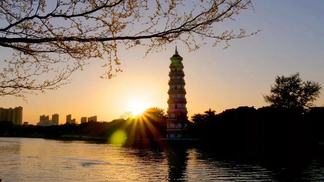 水韵新城,风情万江_东莞阳光网