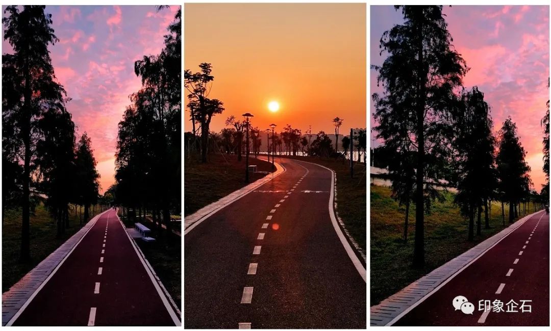 碧道环湖绕,东莞这个地方太美了!