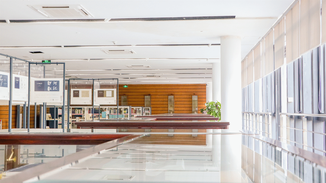 全国金银铜奖星级组织单位松山湖图书馆牛