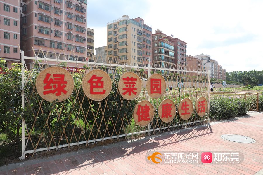 1622451556523075.jpg 02小菜园划分区域让村民认种.jpg