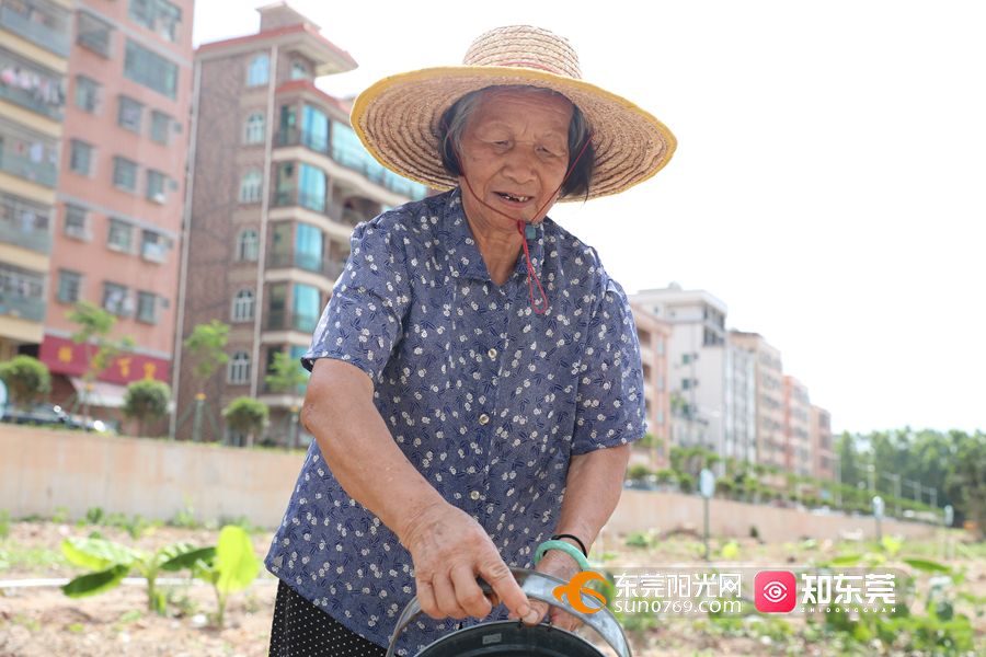 1622451568102396.jpg 06刘婆婆说种菜可以打发时间.jpg