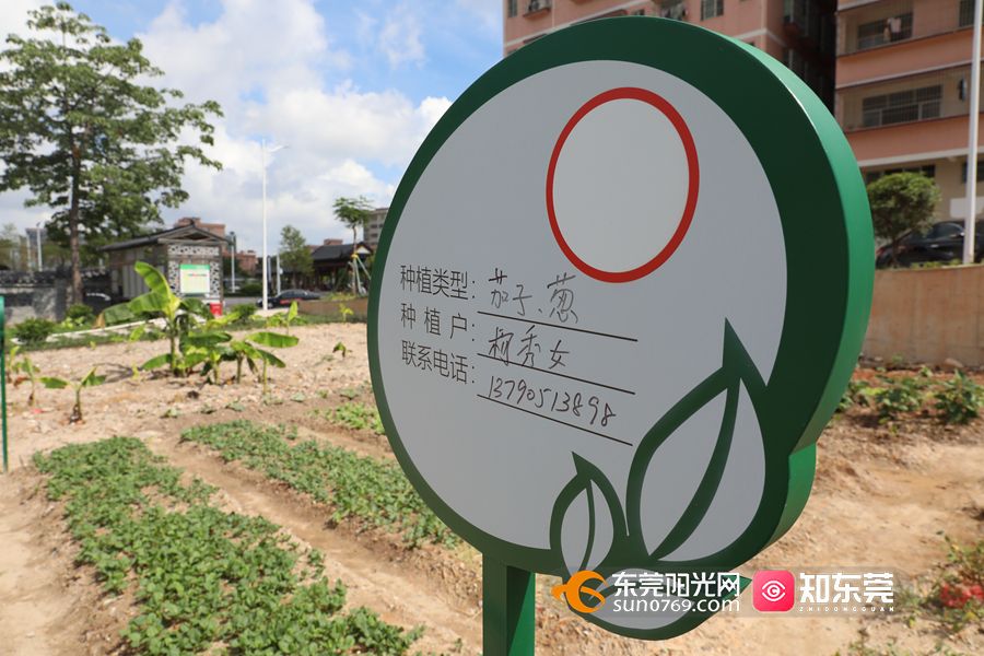 1622451915190822.jpg 07.jpg