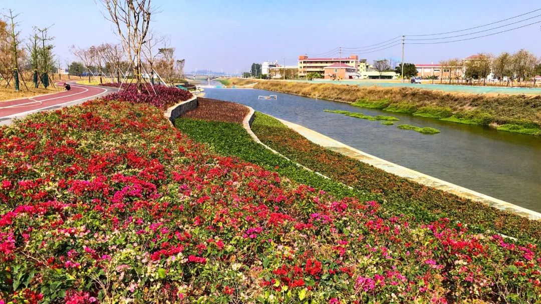 水清岸绿河畅带你看看谢岗河湖的新模样