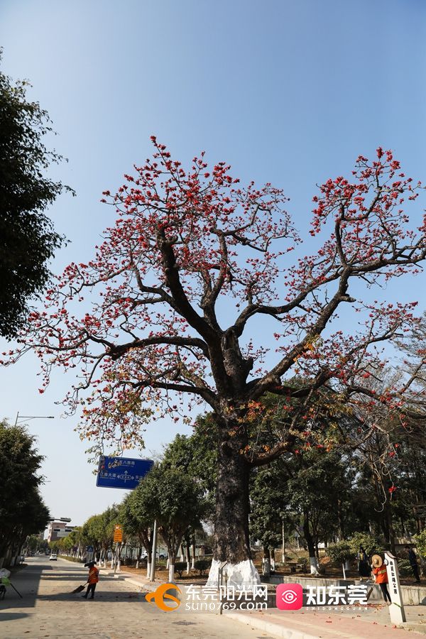 1628130200465239.jpg 20218492740.jpg