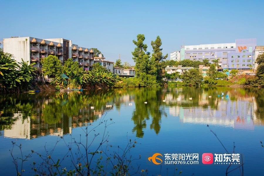 1634631352532896.jpg 2021101915631.jpg