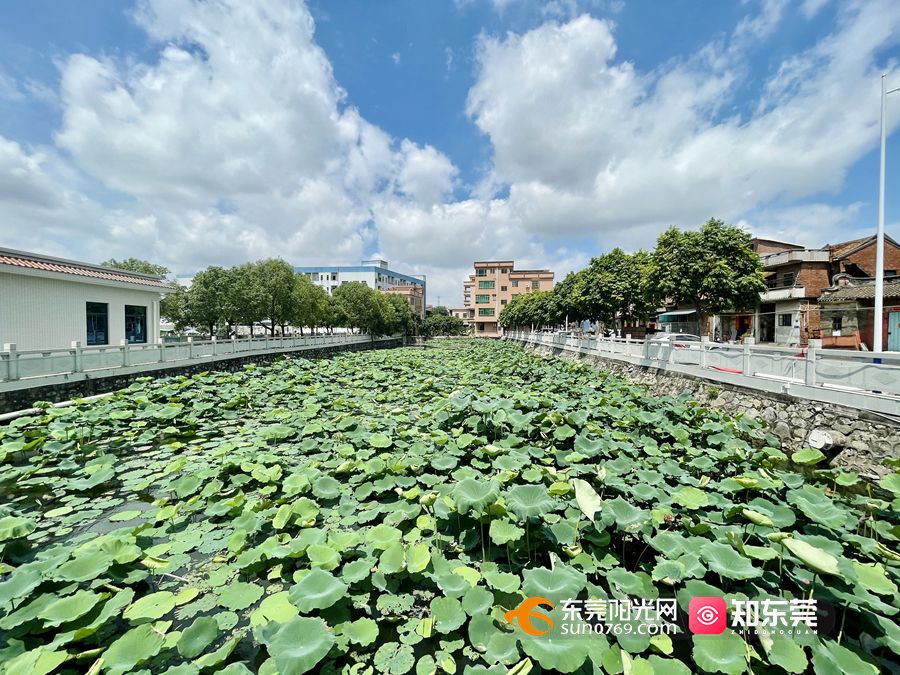 1620979740608510.jpg 微信图片_20210511103701.jpg