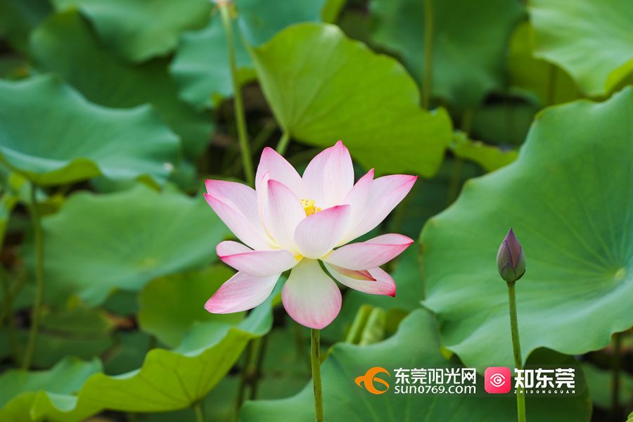 1620979764619639.jpg 0K7A5397.jpg