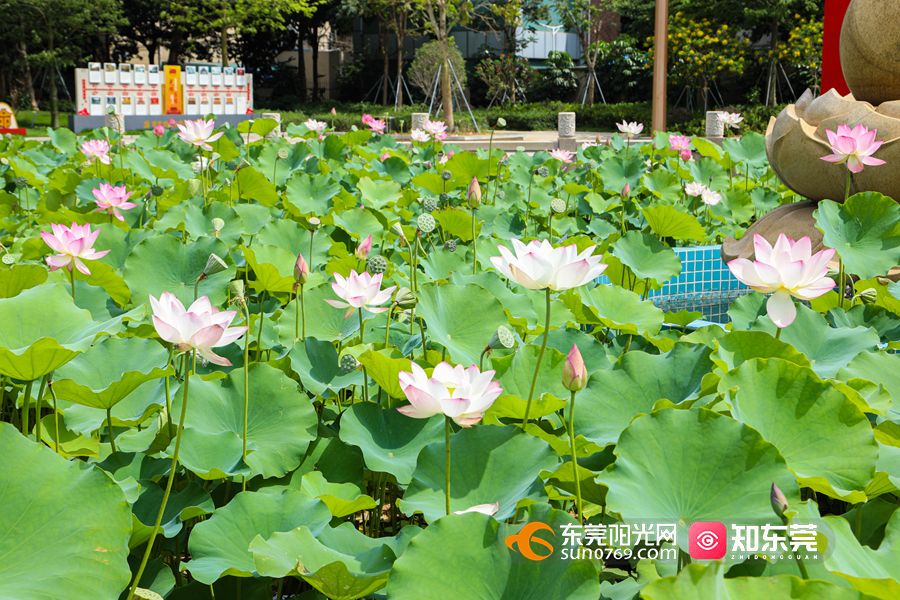 1620979778800413.jpg G91A9962.jpg