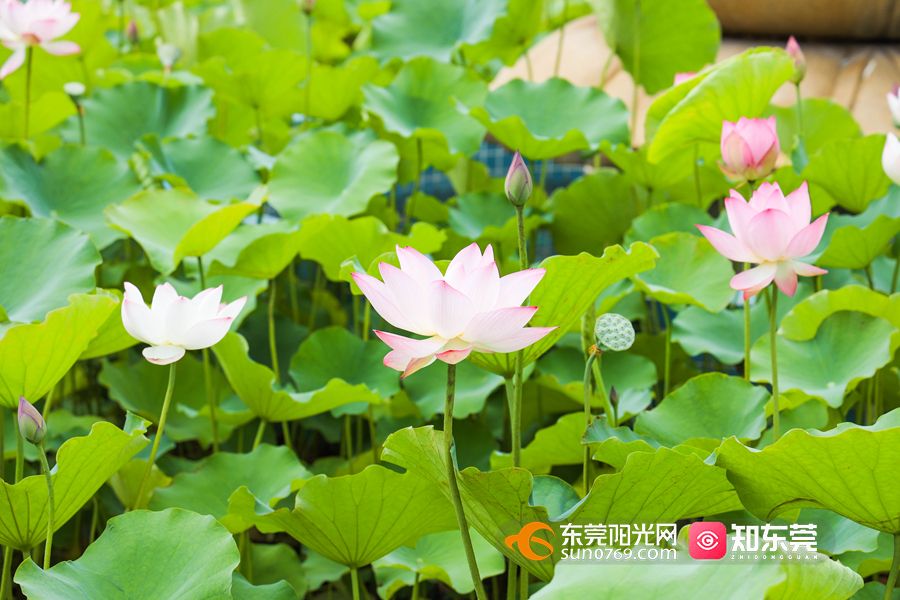 1620980068923081.jpg 0K7A5389.jpg