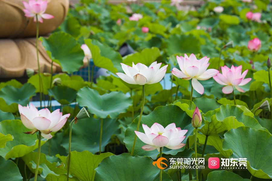 1620979971807273.jpg 0K7A5402.jpg