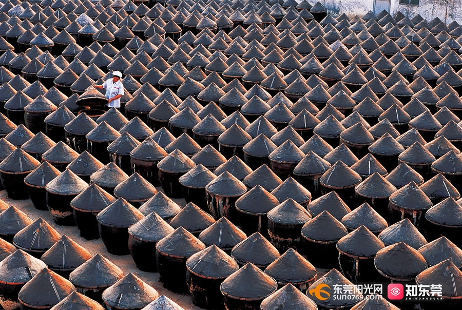 刘松泰 摄 (2).jpg