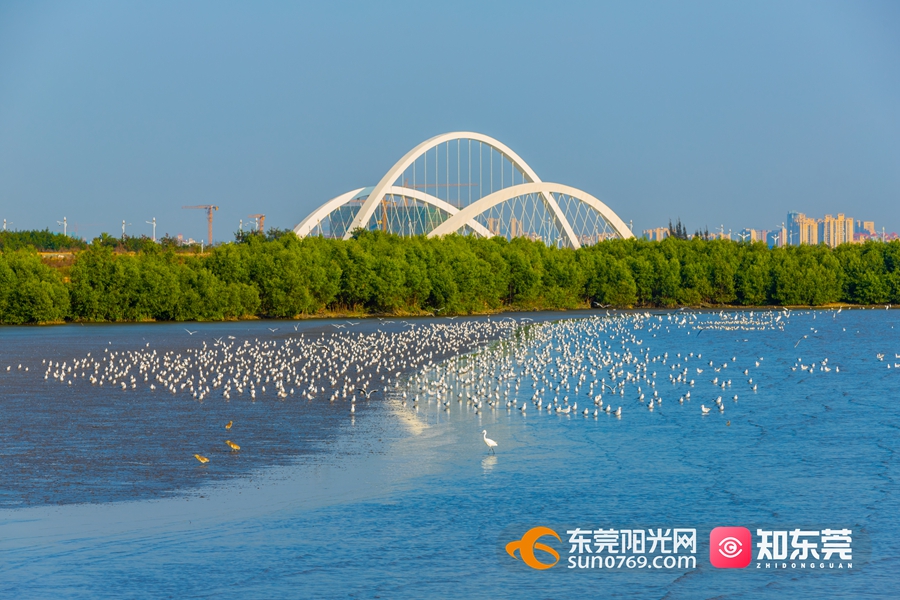 1673522587219137.jpg 微信图片_20220303165525_副本.jpg